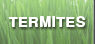 click for more info and articles on termites and products