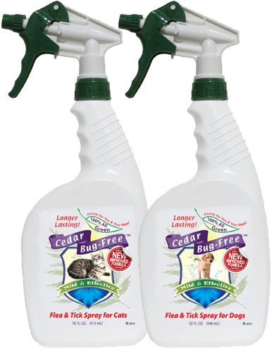 Flea and Tick Spray for Dogs and Cats - Natural Flea and Tick Treatment
