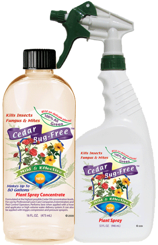 Plant Spray RTU 32 oz and Plant Spray Concentrate 16 oz - Natural Lawn and Garden Treatment