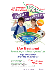 Lice Treatment